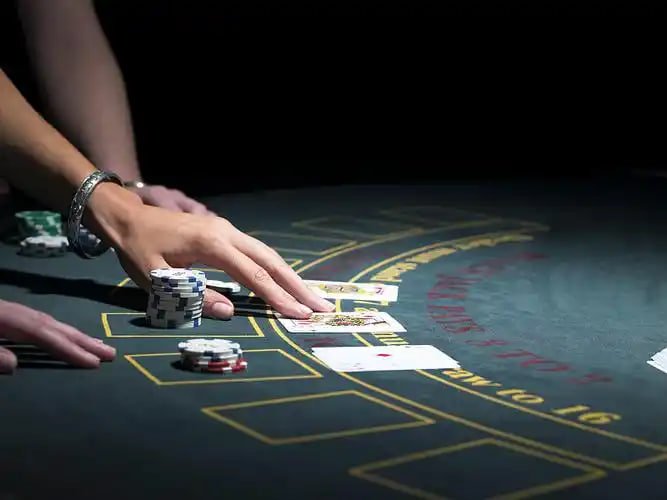 23wun Live Casino